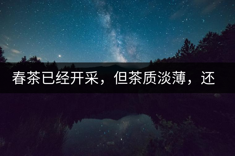 春茶已經(jīng)開采，但茶質(zhì)淡薄，還需一兩周