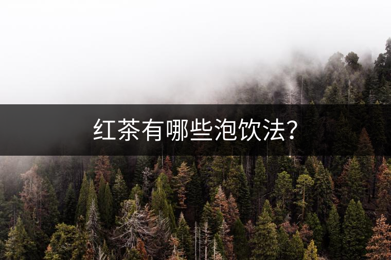 紅茶有哪些泡飲法？