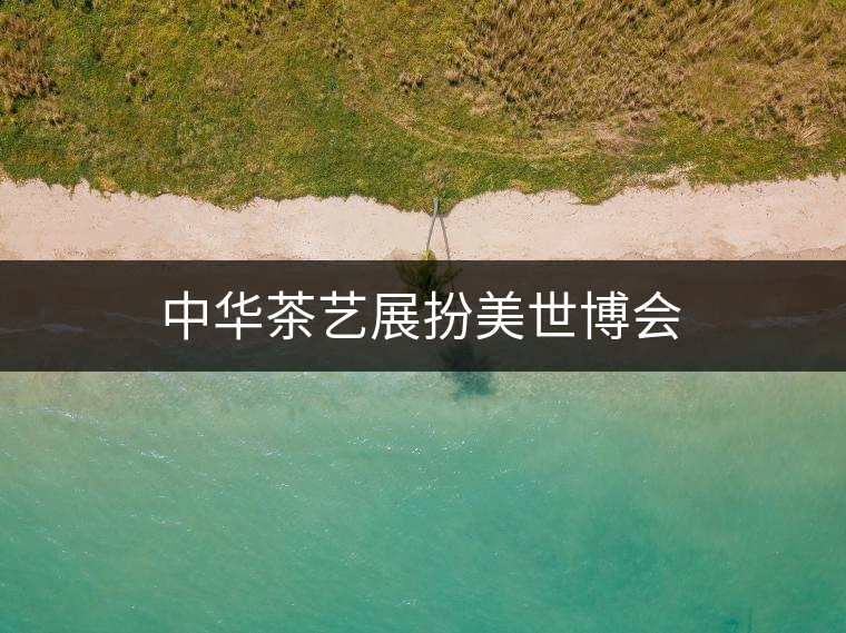 中華茶藝展扮美世博會 中華茶藝展扮美世博會