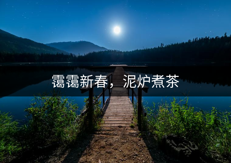 靄靄新春，泥爐煮茶