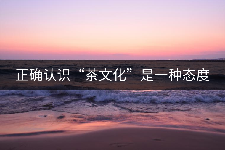 正確認識“茶文化”是一種態(tài)度 正確認識“茶文化”是一種態(tài)度