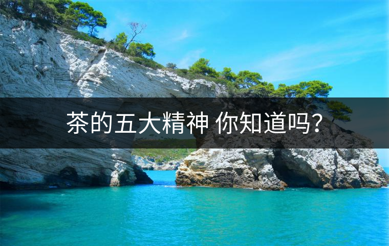茶的五大精神 你知道嗎？