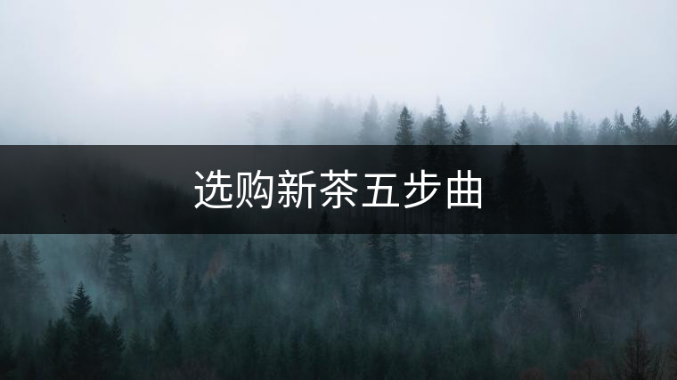 選購(gòu)新茶五步曲 選購(gòu)新茶五步曲