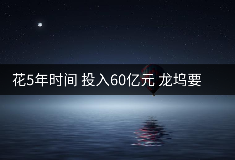 花5年時(shí)間 投入60億元 龍塢要成為茶產(chǎn)業(yè)小鎮(zhèn) 花5年時(shí)間 投入60億元 龍塢要成為茶產(chǎn)業(yè)小鎮(zhèn)
