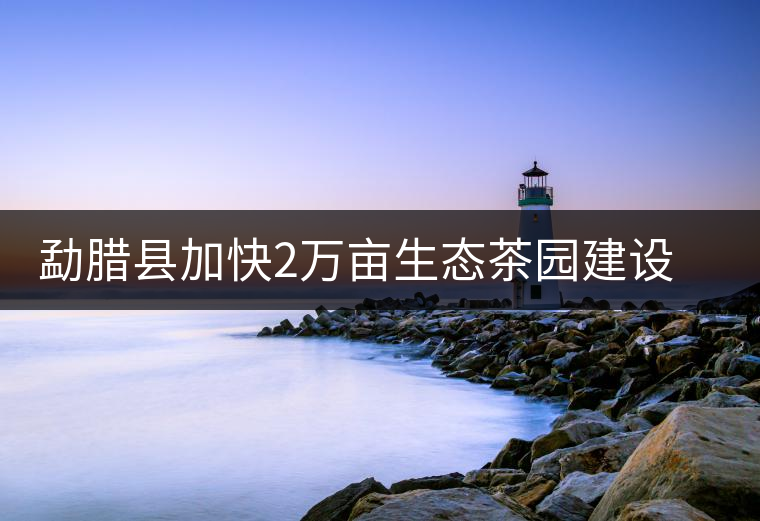 勐臘縣加快2萬畝生態(tài)茶園建設(shè)，促進茶葉產(chǎn)業(yè)持續(xù)發(fā)展