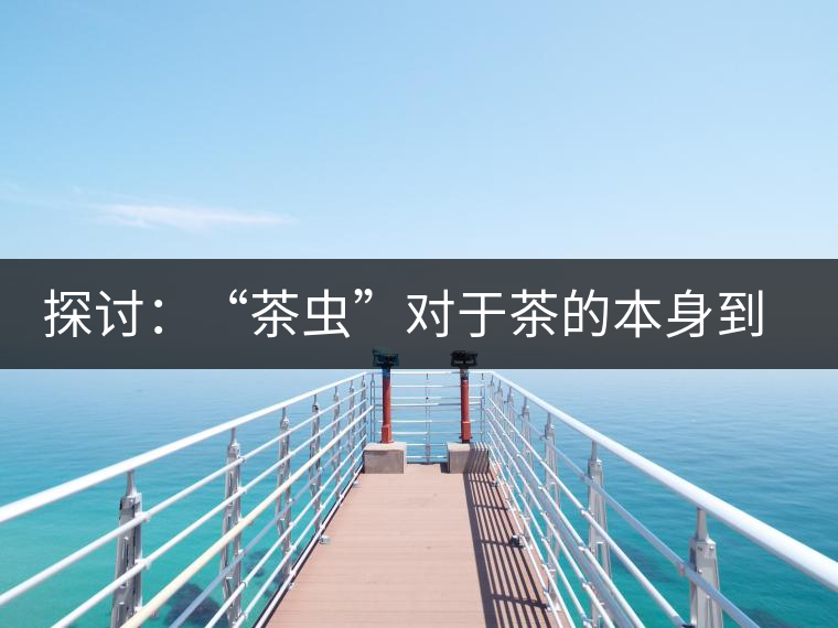 探討：“茶蟲(chóng)”對(duì)于茶的本身到底是好是壞？