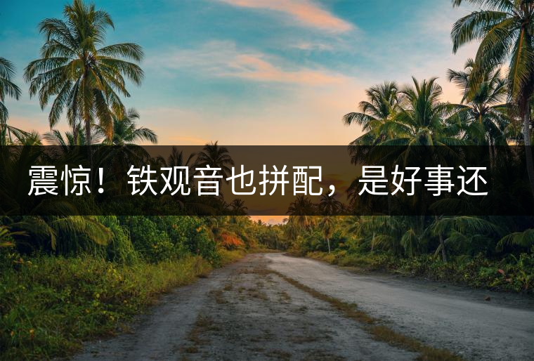 震驚！鐵觀音也拼配，是好事還是壞事？