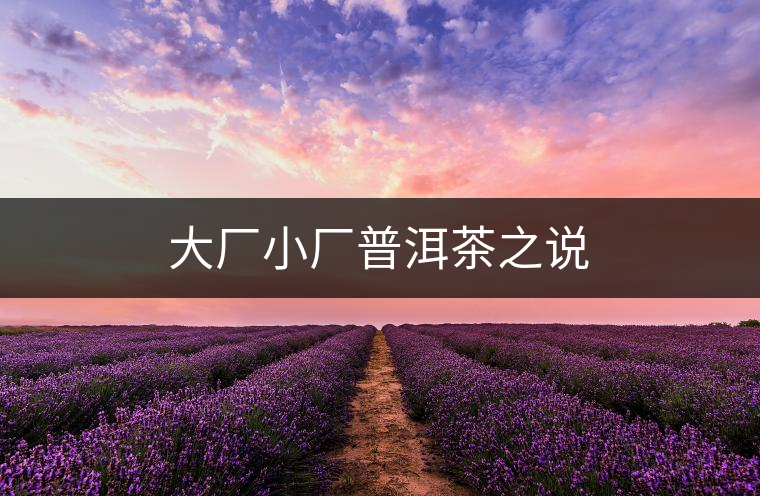 大廠小廠普洱茶之說(shuō)