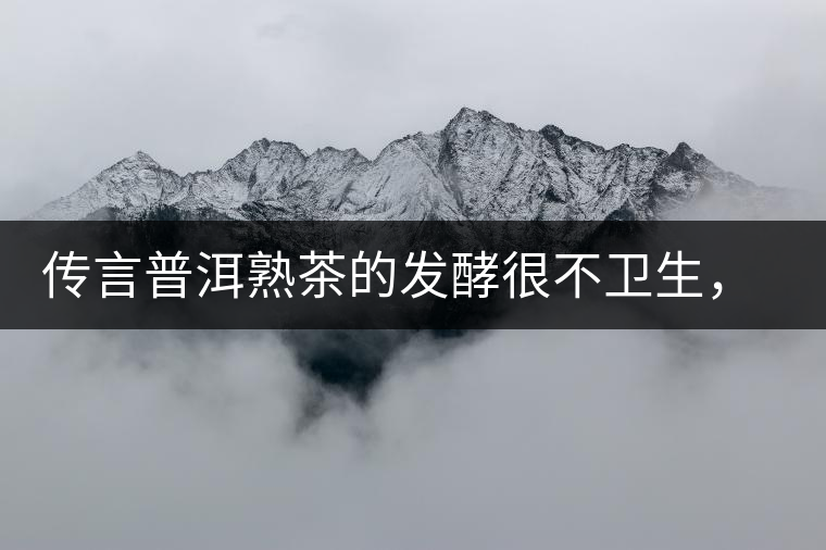 傳言普洱熟茶的發(fā)酵很不衛(wèi)生，是真的嗎？