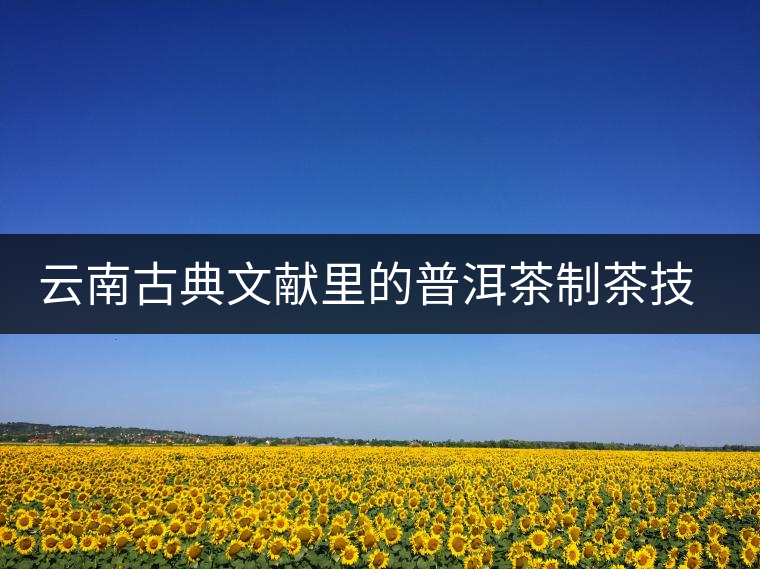 云南古典文獻(xiàn)里的普洱茶制茶技藝