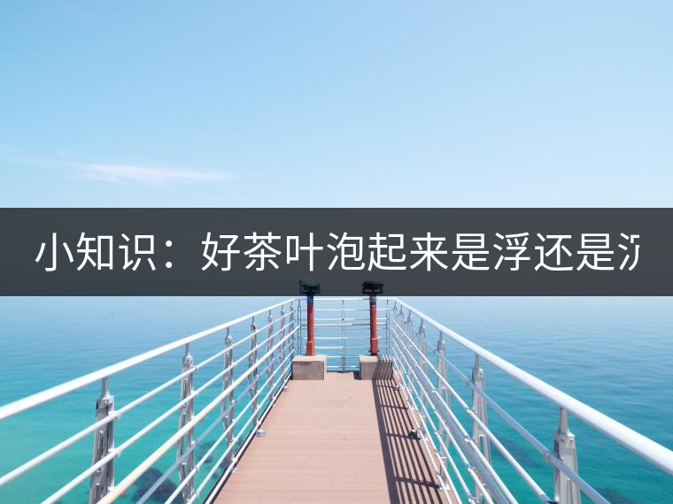 小知識(shí)：好茶葉泡起來是浮還是沉？