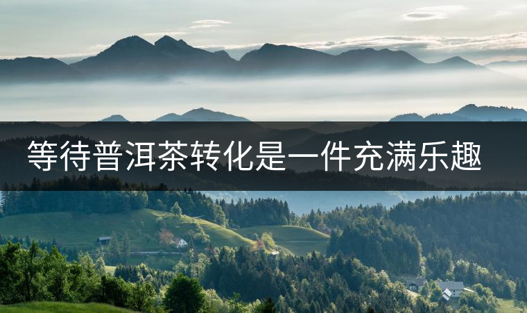 等待普洱茶轉(zhuǎn)化是一件充滿(mǎn)樂(lè)趣的事 等待普洱茶轉(zhuǎn)化是一件充滿(mǎn)樂(lè)趣的事