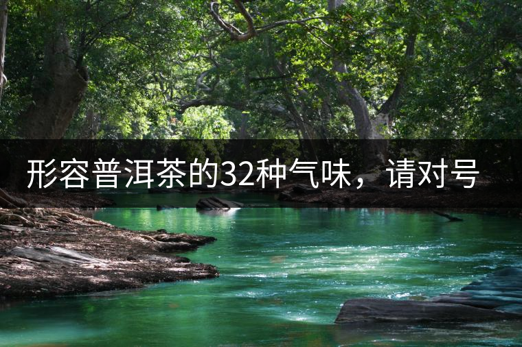 形容普洱茶的32種氣味，請對號入座