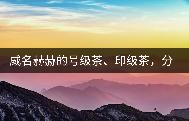 威名赫赫的號級茶、印級茶，分別是些什么普洱茶？