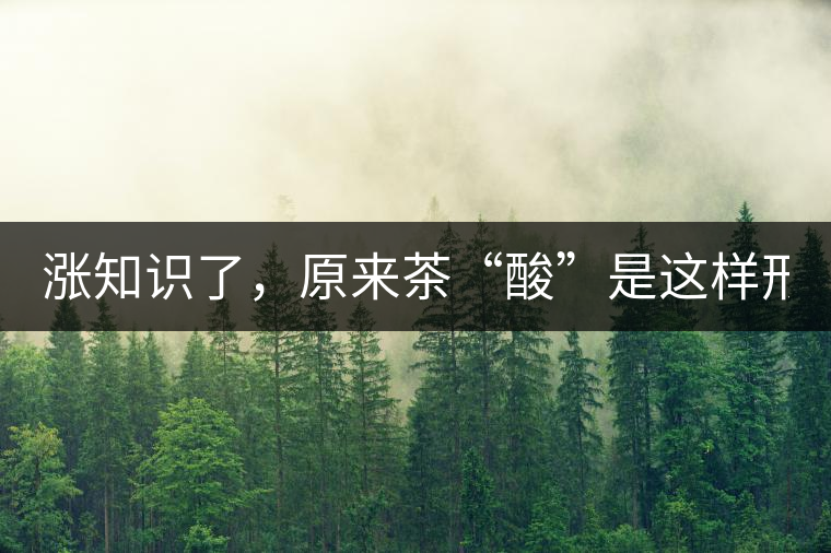 漲知識了，原來茶“酸”是這樣形成的！