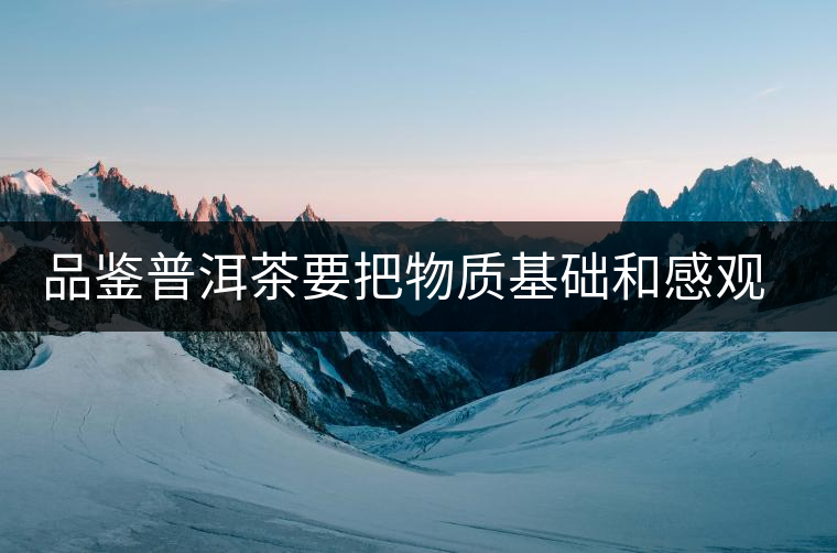 品鑒普洱茶要把物質(zhì)基礎(chǔ)和感觀體驗(yàn)結(jié)合 品鑒普洱茶要把物質(zhì)基礎(chǔ)和感觀體驗(yàn)結(jié)合