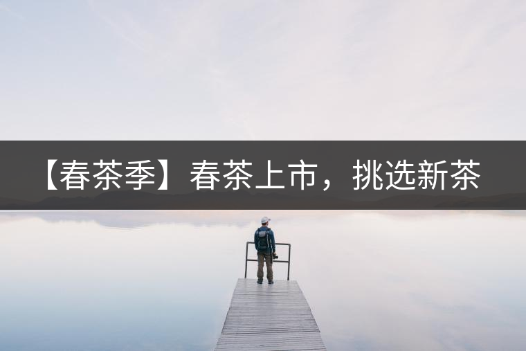 【春茶季】春茶上市，挑選新茶有講究