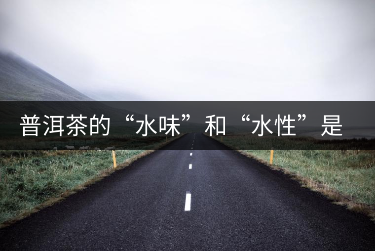 普洱茶的“水味”和“水性”是一種東西還是兩種東西？