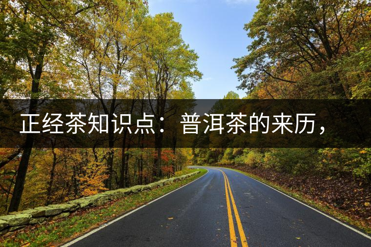 正經茶知識點：普洱茶的來歷，保證你不知道！