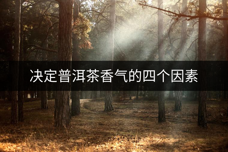 決定普洱茶香氣的四個(gè)因素 決定普洱茶香氣的四個(gè)因素