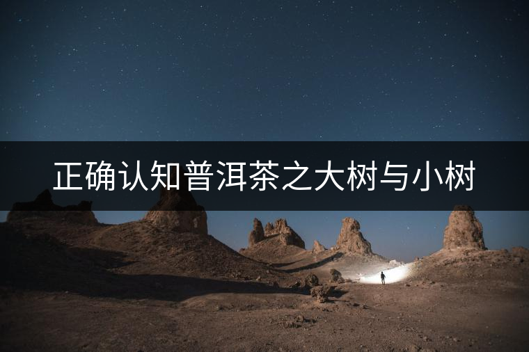 正確認(rèn)知普洱茶之大樹與小樹 正確認(rèn)知普洱茶之大樹與小樹