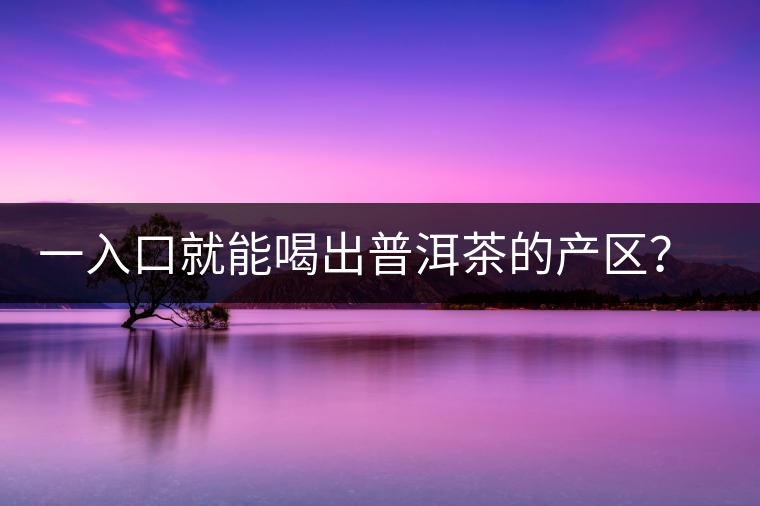 一入口就能喝出普洱茶的產(chǎn)區(qū)？怎么能不讀這篇文章呢？