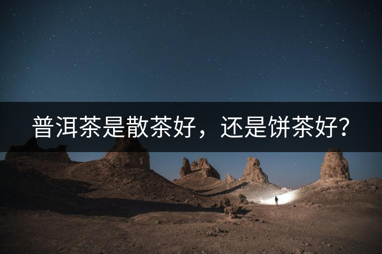 普洱茶是散茶好，還是餅茶好？