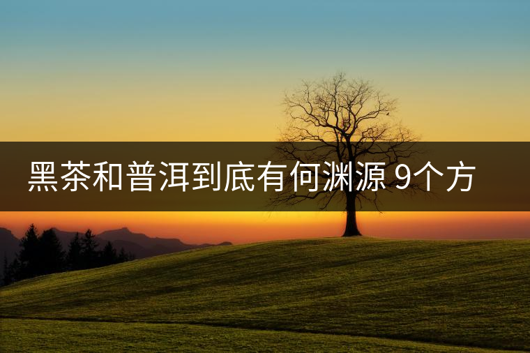 黑茶和普洱到底有何淵源 9個方面告訴你