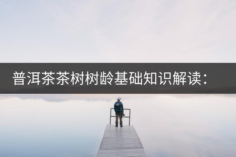 普洱茶茶樹樹齡基礎(chǔ)知識解讀：多大樹齡的茶才算古樹茶？