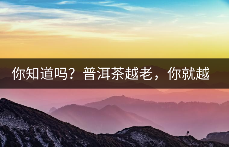 你知道嗎？普洱茶越老，你就越年輕