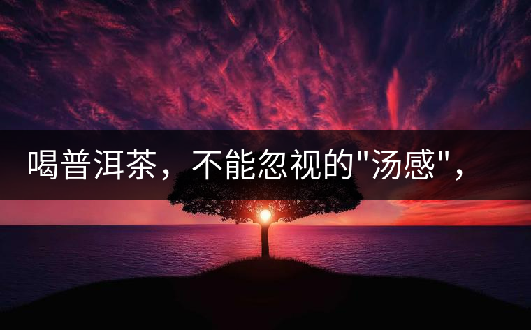 喝普洱茶，不能忽視的