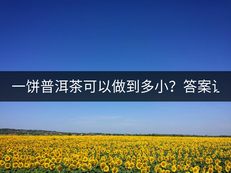 一餅普洱茶可以做到多??？答案讓人意想不到...