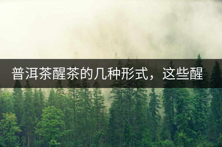 普洱茶醒茶的幾種形式，這些醒茶方法你都會了嗎？