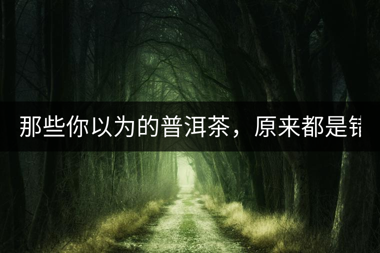 那些你以為的普洱茶，原來都是錯的！