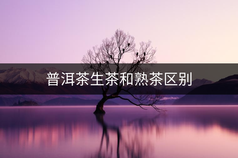 普洱茶生茶和熟茶區(qū)別