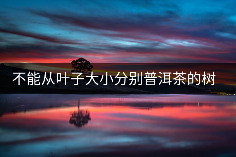 不能從葉子大小分別普洱茶的樹齡