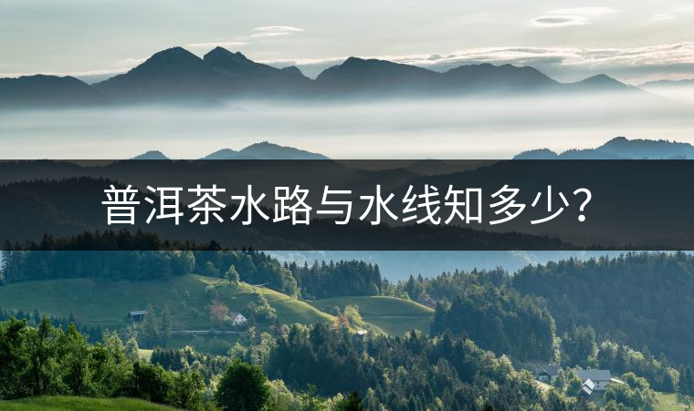 普洱茶水路與水線知多少？