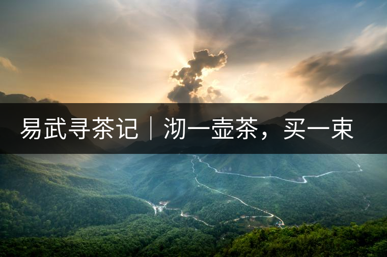 易武尋茶記｜沏一壺茶，買一束花，享半日余暇