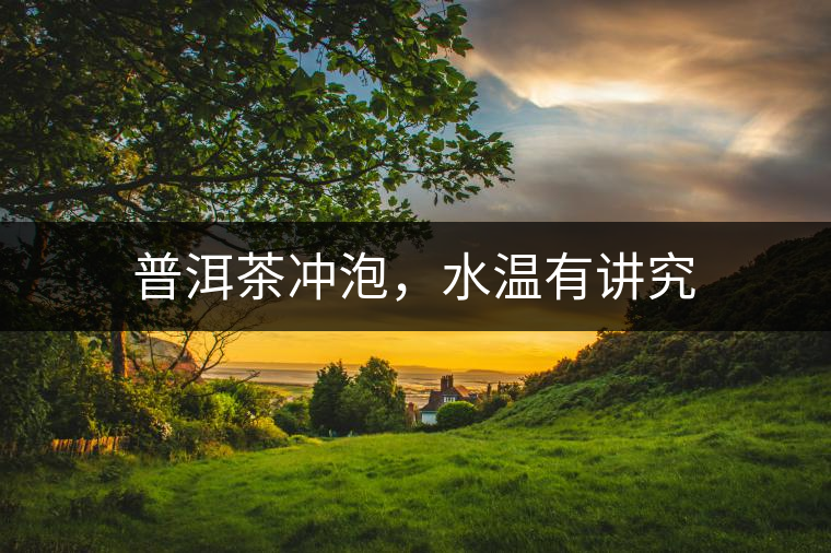 普洱茶沖泡，水溫有講究