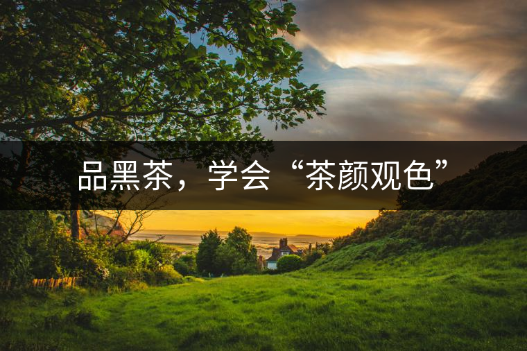 品黑茶，學(xué)會“茶顏觀色”