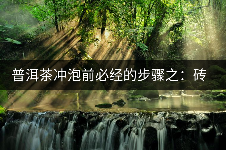 普洱茶沖泡前必經(jīng)的步驟之：磚茶如何撬？