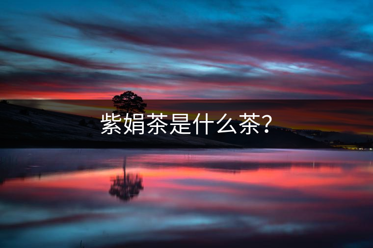 紫娟茶是什么茶？