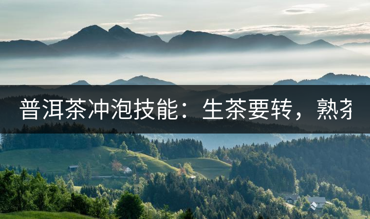 普洱茶沖泡技能：生茶要轉(zhuǎn)，熟茶要柔！