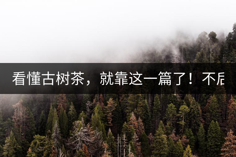 看懂古樹茶，就靠這一篇了！不后悔!
