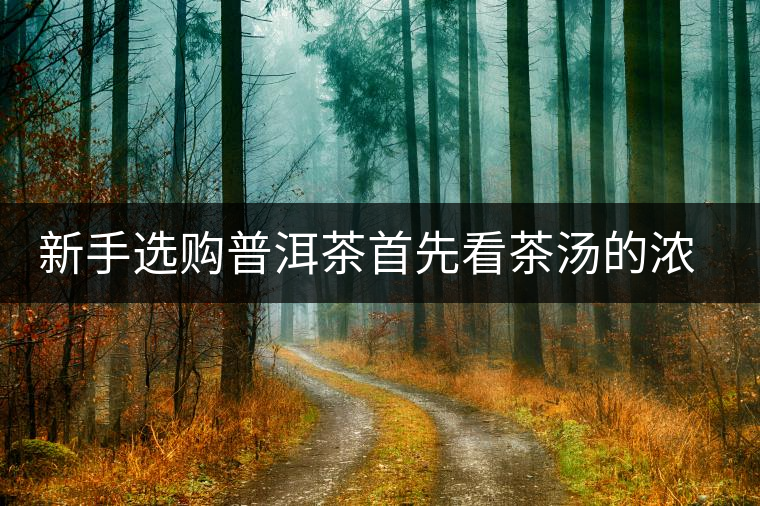 新手選購(gòu)普洱茶首先看茶湯的濃稠度 新手選購(gòu)普洱茶首先看茶湯的濃稠度