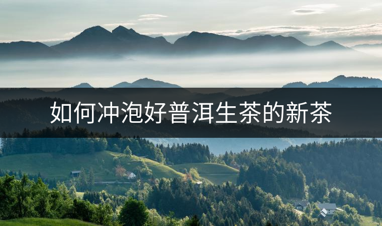如何沖泡好普洱生茶的新茶 如何沖泡好普洱生茶的新茶