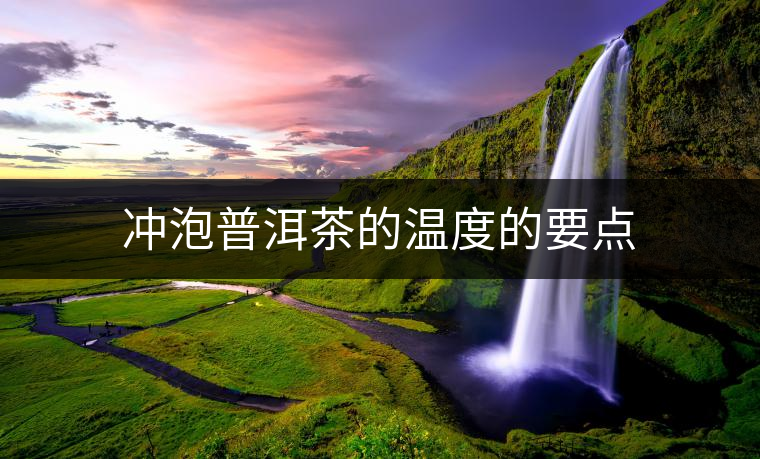 沖泡普洱茶的溫度的要點(diǎn) 沖泡普洱茶的溫度的要點(diǎn)