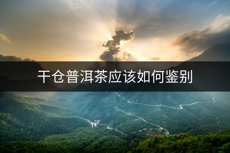 干倉普洱茶應(yīng)該如何鑒別 干倉普洱茶應(yīng)該如何鑒別