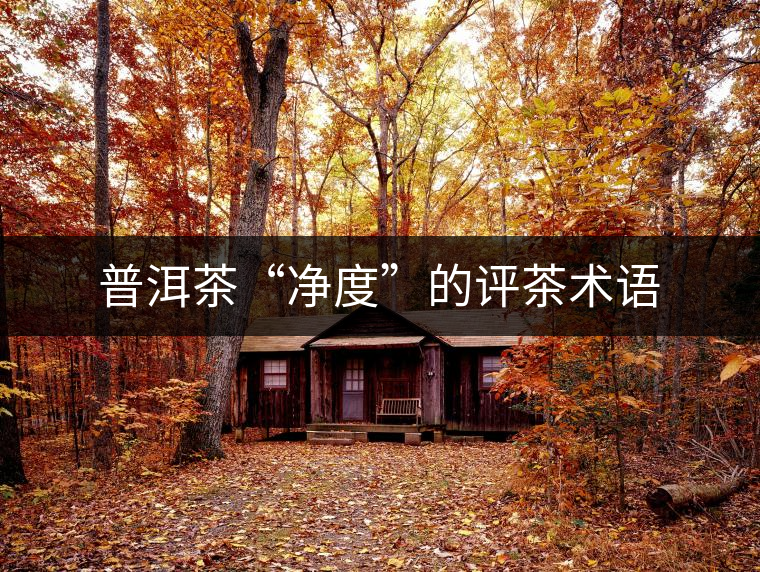 普洱茶“凈度”的評茶術語 普洱茶“凈度”的評茶術語