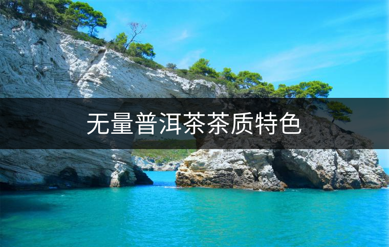 無量普洱茶茶質(zhì)特色 無量普洱茶茶質(zhì)特色
